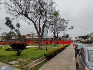 vista al parque dpto. San Borja norte